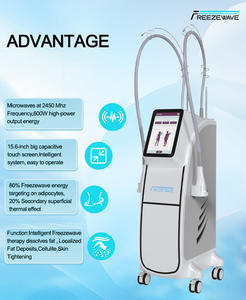 Anticongelante Freezewave, el Más Vendido, para Reducción de Grasa Localizada, Lifting Facial y Regeneración de Colágeno para Clínicas Estéticas - Product Image 3