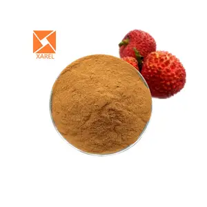 Campione gratuito estratto di semi di Litchi naturale estratto di semi di Litchi in polvere 70% polifenolo