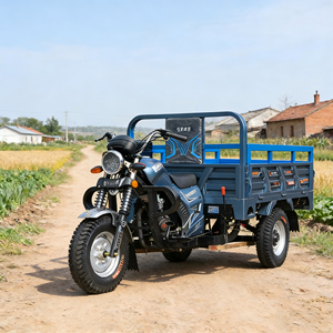 Nouveau tricycle à essence de 150 cm3 avec une vitesse maximale de 60 kilomètres par heure - Product Image 3