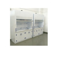 Hotte de laboratoire horizontale de type échappement d'air propre de classe 2, système d'évacuation sans conduit, hottes à fumées chimiques