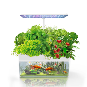 Smart Home Indoor Aquaponic Fish For Tank Met 12 Pods Voor Hydrocultuur <span class=keywords><strong>Plant</strong></span> Groeiende Led Digitaal Systeem - Product Image 2
