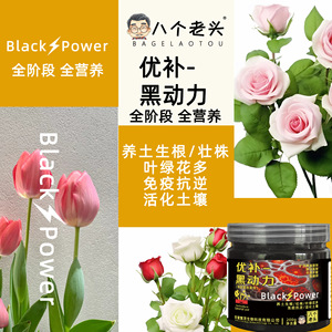 Activateur de sol Black Power Eight Old Men 200g – Nourrit le sol, favorise la croissance des racines pour les fleurs et les plantes vertes - Product Image 1