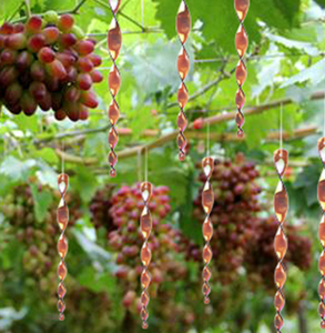 Pratik kuş güvercin sivri öcü yansıtıcı akrilik Spiral şekli kuş kovucu sopa ağacı asmak için kuşlar uzakta korkuyor - Product Image 6