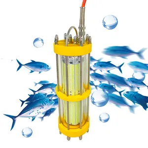 Wholesale 3000 watts fishing lights for A Different Fishing