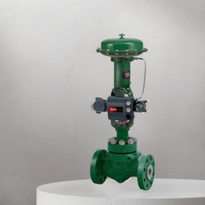 Vanne de régulation Fisher à proportionnalité constante pour vapeur et eau haute pression, usage en centrale électrique - Product Image 4