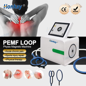 Máquina de Terapia PEMF de Escritorio, Bucle PEMF para Lesiones Deportivas, Alivio del Dolor, Cuidado de la Salud Animal, Fisioterapia, Clínica en Casa - Product Image 1