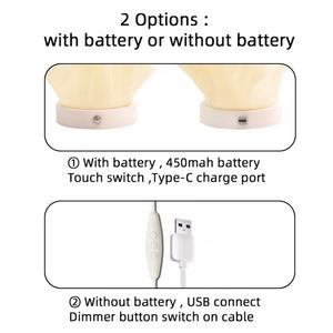 Lampe Vase Décorative Irrégulière Créative Nordique, Éclairage Domestique Élégant avec Batterie Rechargeable - Product Image 5