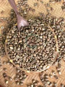 95 a 99% Pureza Robusta Tamaño 16 Origen de Vietnam Granos de café verde A 60kg A Plus Bolsas a granel de alta calidad - Product Image 6