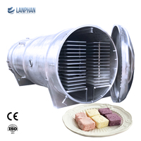 Lyophilisateur industriel sous vide 100 kg par lot, machine de lyophilisation commerciale pour la transformation des fruits, légumes, viandes et aliments
