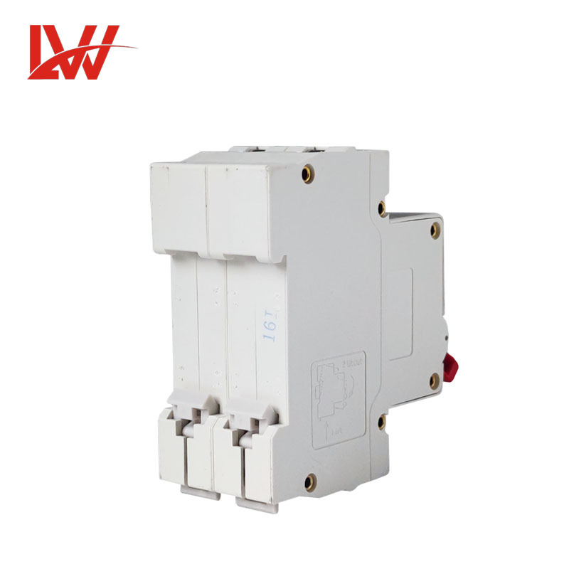 LW DC MCB 1000V 6A-63A 2P Solar DC Renewable Energy Circuit Breaker · image 5