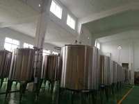 Spécialité locale de Hainan, Noni pur naturel mélangé avec des fruits tropicaux frais variés, jus