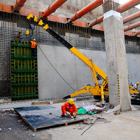 Mini-grue araignée de 1 tonne sur chenilles en caoutchouc pour flotte de location et travaux de levage en intérieur pour entrepreneurs, usage quotidien