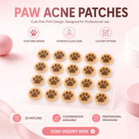 Patchs anti-acné ronds en forme de patte de chat, couvre-boutons hydrocolloïdes pour le soin de la peau