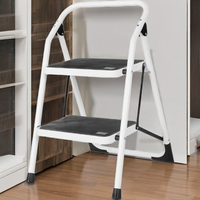 Design moderne EN 131 Échelle pliante portable en acier à 2 marches Prix usine pour usage domestique extérieur pour supermarchés Extérieur Maison