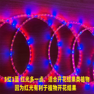 Flexible Red Blue LED Plant Growth Light Strip for Multi <strong>Layer</strong> Plant Shelf and Vertical Farming System - Product Image 5