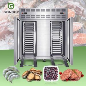 Mariscos Iqf Equipo Italiano Pequeño Acero Inoxidable Industrial 10x10 Enfriador <span class=keywords><strong>Barato</strong></span> y Congelador - Product Image 1