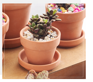 Mini pot à cactus en terre cuite avec trou de drainage, pots à succulentes en argile pour plantes d'intérieur et d'extérieur, pour une utilisation en jardin comme pot à fleurs - Product Image 6