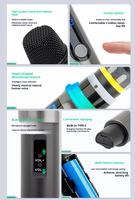 Microphone sans fil portable BHA MG04 2.4G avec effet RVB, chargeur, batterie au lithium, portée de 50 mètres, prix de gros usine, OEM