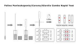 Fabrika satış! Feline hızlı <span class=keywords><strong>Test</strong></span> FIPV FPV FCOV Ag Giardia calicirvirus hızlı <span class=keywords><strong>Test</strong></span> kiti veteriner teşhis <span class=keywords><strong>Test</strong></span> kediler için - Product Image 5