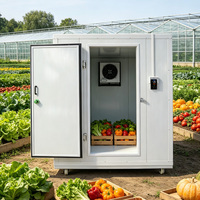 Chambre froide mobile solaire automatique Sanyo Plug and Play prête à l'emploi avec unité de réfrigération pour petit commerce
