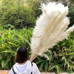 Grande Herbe de la Pampa Blanche Décorative de 120 cm pour la Maison et les Mariages, Fleurs Séchées Naturelles pour les Décorations de Pâques et d'Halloween - Product Image 4