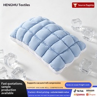 Coussin nuage d'ananas transfrontalier, best-seller, avec garnissage personnalisable en soie glacée haute résilience et duvet français moelleux