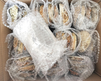 8-10cm Stock En Gros Décor Nautique Coquillage Plage Mariage Coquillages Océan Décor Bijoux DIY Shell Porte-Savon Aquarium Décor À La Maison