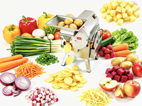 Multifunctionele groente- en fruitsnijder, -schaaf en -snijmachine voor aardappel, wortel, ui, sinaasappel en andere wortelgewassen, 300 tot 1000 kg.