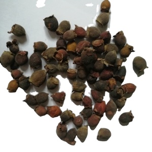 Tao jin niang crudo selvatico biologico secchi frutti interi di lanugine rosa mirto <span class=keywords><strong>frutta</strong></span> per erbe - Product Image 2