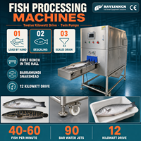 Écailleuse Automatique à Jet d'Eau Acier Inox Alimentaire Double Pompe Italienne pour Barramundi Saumon Retrait des Écailles