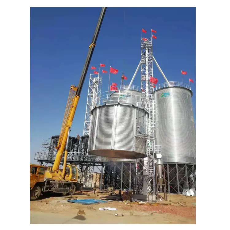 अनाज साइलो 2023hot बिक्री Taian शेली इंजीनियरिंग silos के लिए खोल के साथ चावल अनाज भंडारण साइलो