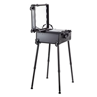 Trolley professionnel de maquillage de grande capacité de 24 pouces stockage pratique transporter personnalisable OEM pris en charge en aluminium métal