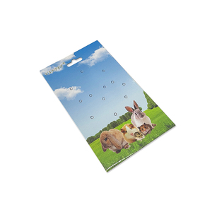 Tùy chỉnh nhựa các tông bao bì vỉ chèn thẻ giấy, in ấn các tông giấy treo thẻ tiêu đề - Product Image 3