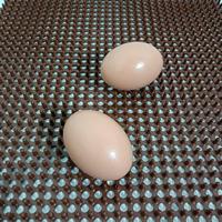 Coussinets de nidification pour poulets en PVC à aiguille unique, prix usine, naturels et réutilisables pour fermes avicoles