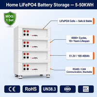 Batería de Iones de Litio LiFePO4 de Ciclo Profundo 48V 51.2V 100Ah 200Ah 314Ah 10kW 30kW para Almacenamiento de Energía Doméstica, Cajas y Soportes Prismáticos