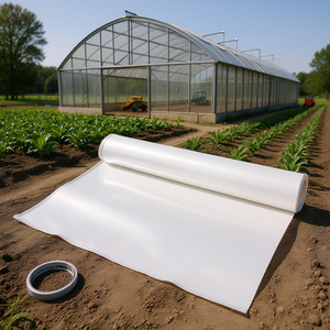 Lámina de Polietileno para Invernadero, 12 x 25 Pies, 6 Mil, Resistente a los Rayos UV, Plástico Transparente para Invernaderos Agrícolas - Product Image 2