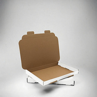 Boîte postale à fentes pour lettres grand format AKAR White C5/A5 - Carton - Compatible Royal Mail Pip Box [Lot de 50]