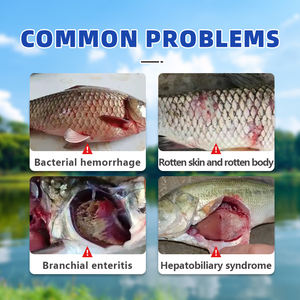 Herbes fermentées + Probiotiques NaturalLiver+ : Augmenter l'apport et améliorer la résistance au <span class=keywords><strong>stress</strong></span> & Additifs alimentaires aquatiques - Product Image 4