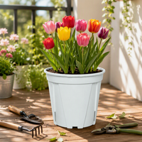 Vente en gros de pots à bonsaï contemporains, mignons, de grande taille, en plastique coloré, pour semis, avec trou de drainage, pour utilisation en jardin, légers et durables