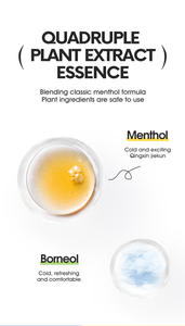 Private Label Hot Selling Kruiden Nasale Inhalator Energie Beste Neus Deblokkering Etherische Olie Neusinhalator Stick - Product Image 3