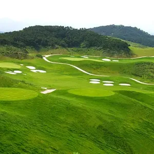 Tianlu lapangan golf buatan olahraga rumput putt hijau hybrid karpet rumput sintetis rumput golf rumput hibrida