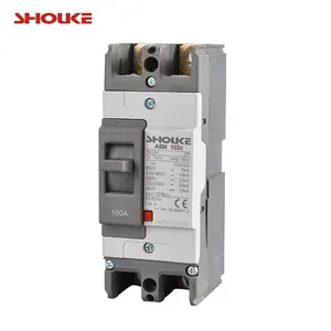 100a mccb ABN102c 2p moulded case circuit breaker electric power protector
