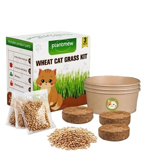 Juego de 3 Herramientas Ecológicas para Césped con Fibra Vegetal para Uso en Interiores/Exteriores - Product Image 1