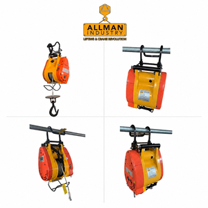 <span class=keywords><strong>ALLMAN</strong></span> CE - Mini Cabrestante Eléctrico de 500 KG a Precio Económico, 220V, para Granja - Product Image 3