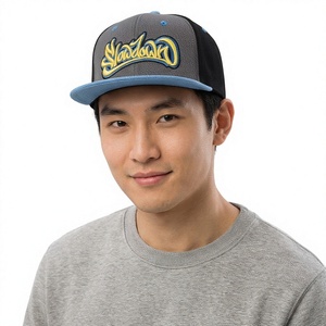Casquette Snapback 6 Panneaux Lowdown Gris Bleu avec Logo Brodé Dessin Animé Unisexe Style Urbain Toile Respirante Imperméable Ajustable - Product Image 1