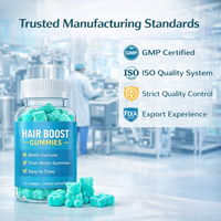 Gummies pour la croissance des cheveux en marque privée, gummies à la biotine et aux vitamines pour stimuler la croissance des cheveux, renforçer et nourrir des cheveux sains, fabrication OEM ODM