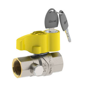 Valvola a Sfera Manuale e Pneumatica con Connessione FF e Blocco, Controllo Acqua e Olio, Struttura Personalizzabile OEM - Product Image 1