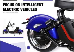 Citycoco 60V 20Ah batterie au lithium scooter électrique populaire urbain Streetbikes moto avec puissance moteur 1500w - Product Image 6