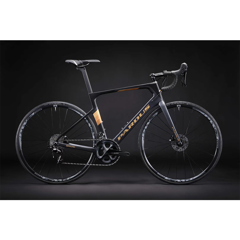 PARDUS SPARK EVO カーボンフレームセット Pardus Spark EVO UCI CONTINENTAL TEAM CHINA GLORY - MENTECH