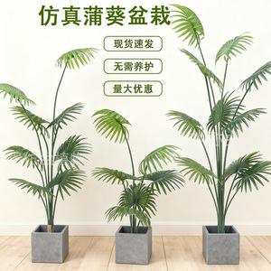 Palmier artificiel Dream Castle en pot, grande plante d'intérieur sur pied, décoration en plastique pour salon - Product Image 1